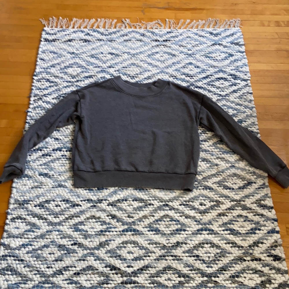 Cropped aerie sweatshirt